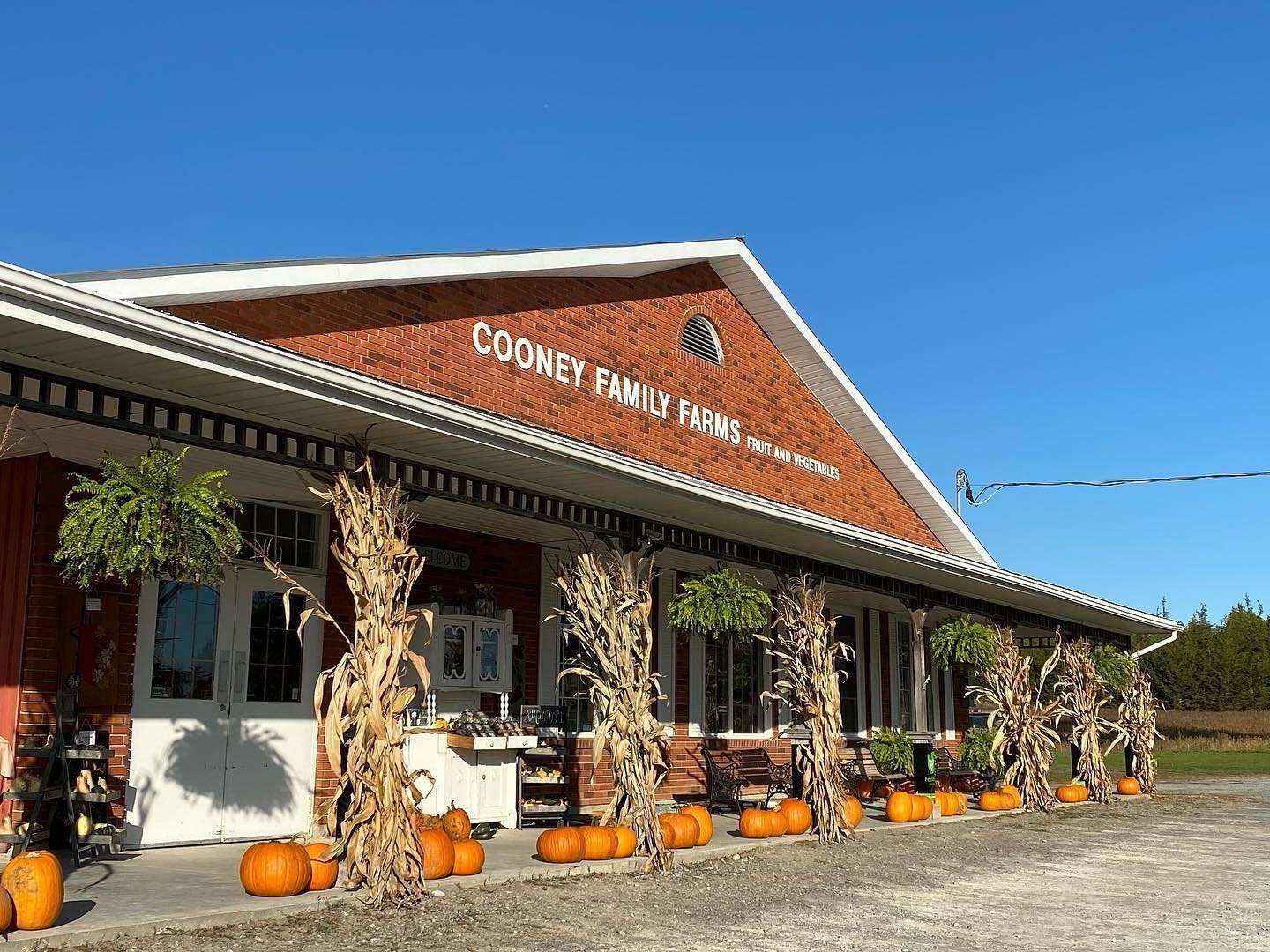 Cooney's Apple Store. A store front with pumpkins and corn husks.