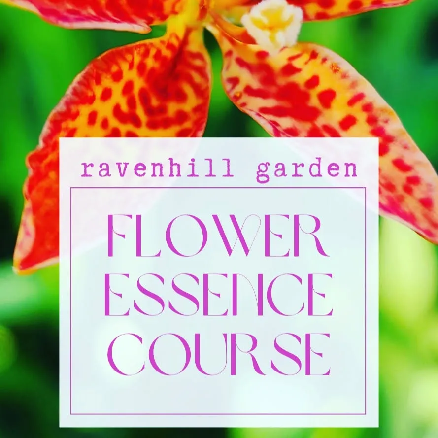 Article Header Image