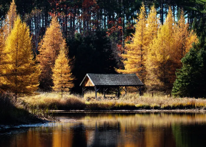 O'Hara Mill in the Fall