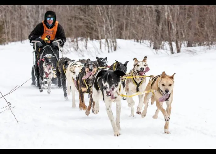 Egan Creek Outfitters dog sledding