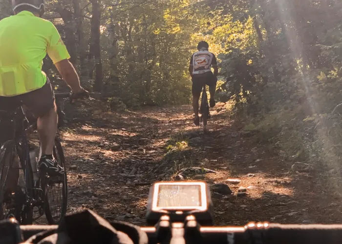 people cycling on a trail
