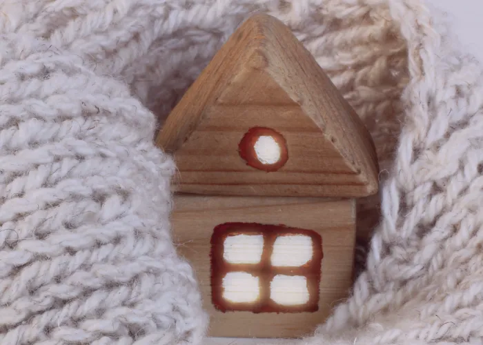 Wooden House wrapped in blanket