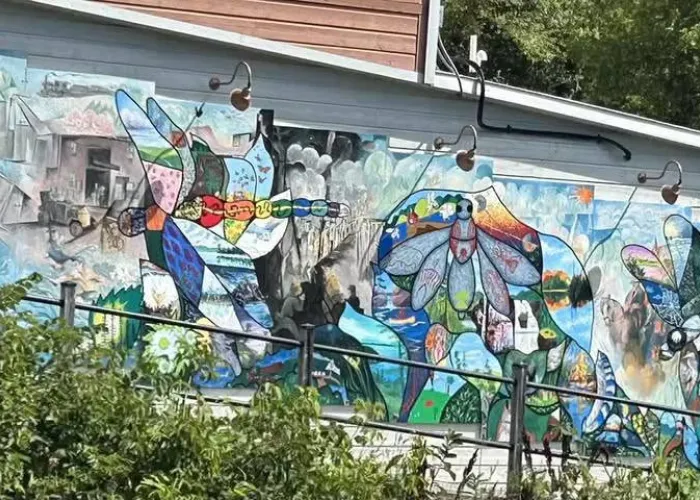 Colourful mural with abstract elements and paintings of buildings and dragon flies on the side of a building, trees above in backrgound
