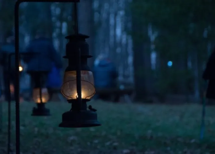 Row of lit lanterns in a dark forest