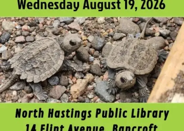 Photo of two small turtles on stones, green background above and below, white and black writing with details of event