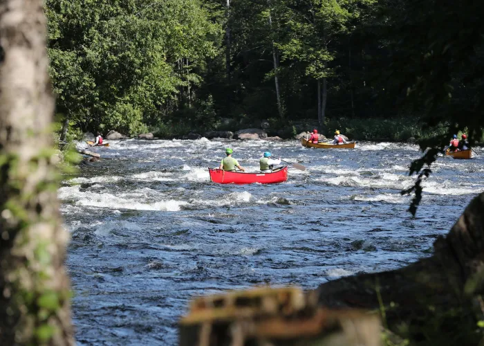 Two people paddle a red canoe in river, two canoes and a kayak in the background