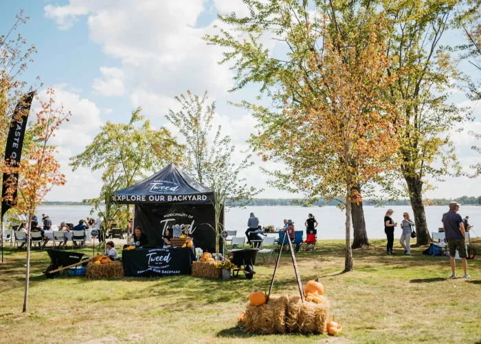 Taste of Tweed event on a sunny fall day