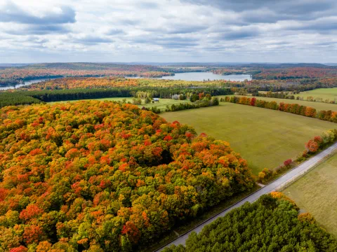 Aerial View of Boulter Ontario in Fall - Paul Hartley